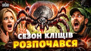 ⚡️Нова загроза для українців! Кліщі атакують! Як убезпечити себе та близьких від укусу