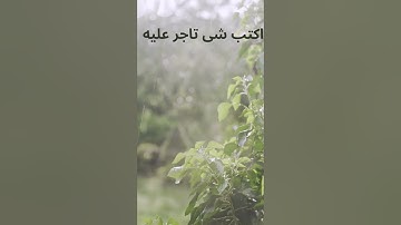 قران كريم يا الله 💚🩵 #quran #اكسبلور #المصحف #لايك #القران_الكريم #الشيخ #قرآن #quran #اكسبلور