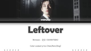 Wonwoo seventeen leftover color Coded S