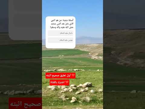 من هو النبي الذي دفن بعد النبي محمد صلى الله عليه وآله وسلم