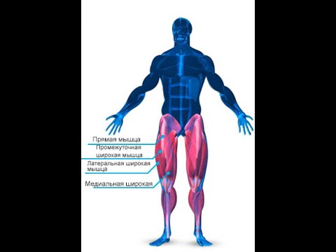 Seksual ota va qiz video Qizlarning jinsiy osilishi