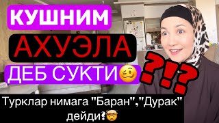TURKLAR NIMAGA “DURAK”,”BARAN” DEYDI? QOSHNIM NIMAGA SUKINDI?🤔 #kamolaarslanova #diyora