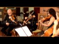 ALMA PROJECT 24/7 - SC String Quartet - I Will Survive  (G. Gaynor ) -