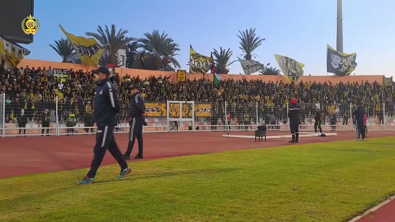 fatal Tigers a Barkan 12/2024