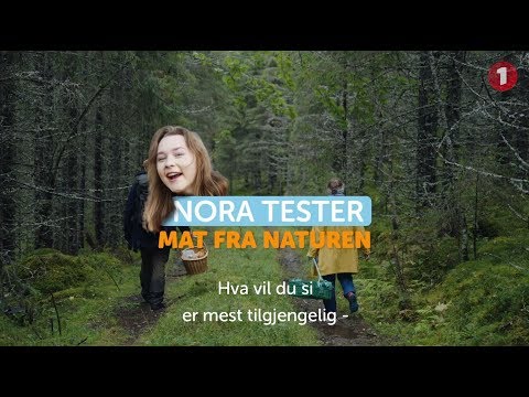 Video: Hva Som Skjedde Med Menneskets Natur Etter Fallet