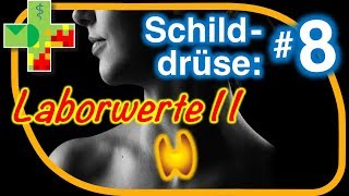 Schilddrüse - Laborwerte Ii Schilddrüsenantikörper
