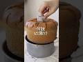 味が濃すぎる激うまシフォン【レシピあり】