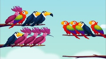 Bird Sort Puzzle 🧩 New Level Starts | Gameplay 