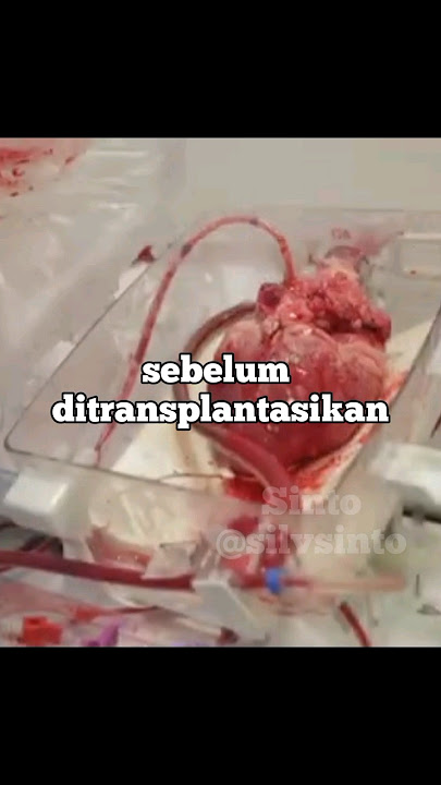 Keajaiban dari jantung pada manusia #shorts