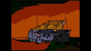 Jayfeather MAP: Stressed Out (Part 5)
