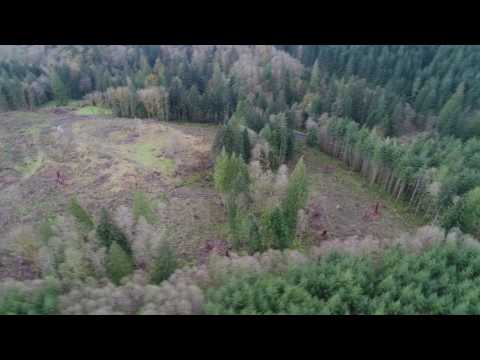 230 N Dubois Road, Ariel, WA home video tour