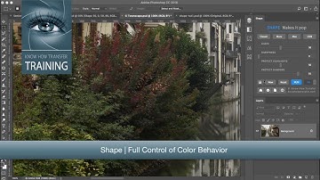 Shape Midtones Global/Local Contrast Manager | Full control of color behavior