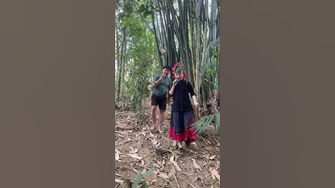 Vương Ngọc Thảo : ở rể tập 2