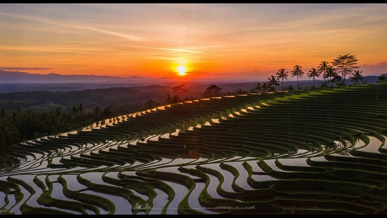 🎶 RHOMA IRAMA FULL ALBUM 2026 TANPA IKLAN BIKIN KANGEN LAGU LAWAS TERBAIK HD 🎵