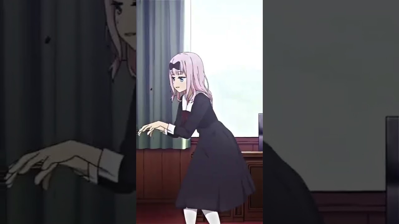 Фудживара Чика флексит 