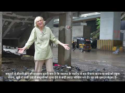 मुंबई के कबूतरों के साथ PETA की संस्थापक