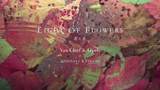 エキシビション〈Light of Flowers 花と光〉