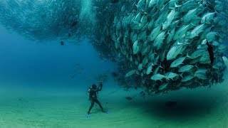 Altijd Kalm By Sergo Instrumental Prod By Sergobeats