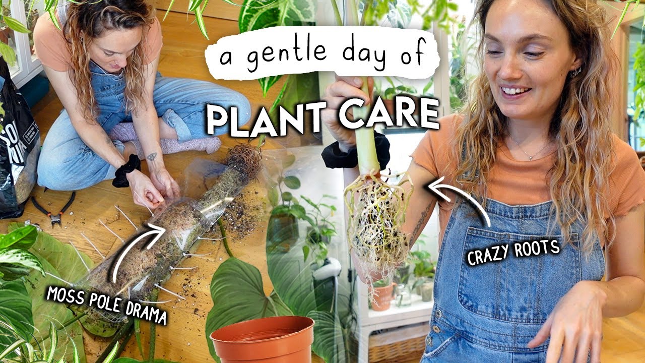 A Realistic Day Of Plant Chores 🌱 The Houseplant RESET Continues!