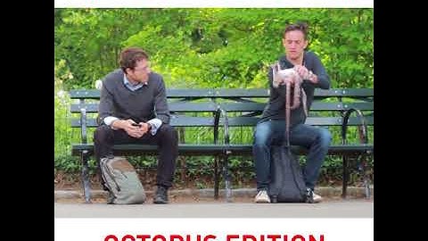 Strangest Public Behavior  Octopus Edition