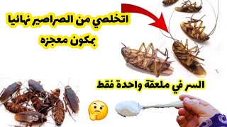 طرق الوقاية والتخلص من الصراصير نهائياً بوصفات فعالة ومجربة !!سر القضاء علي الصراصير بمعلقة سحرية