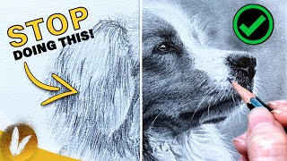 Key Components Of Fur  Drawing Realistic Fur Tutorial | How To Draw Fur Step By Step Do’s & Don’ts