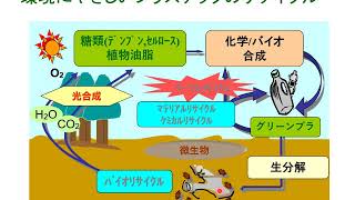 2020有機材料化学特論　第3週（植物油脂の利用）part 1