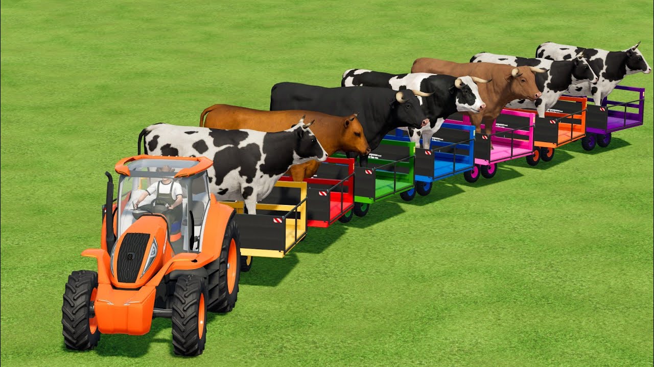 Colors Of Tractor ! Cow Transporting with Animal Transporter In Fs22 | Farming Simulator 22 |