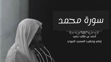 سورة محمد للشيخ أحمد بن طالب بن حميد