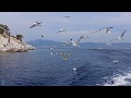 Surah Yasin 36 With Arabic English Text Accompanied By Beautiful Nature Scenery 