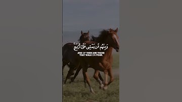 خشوع لا يوصف | تلاوة تلامس القلب 💔✨