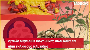 Vị thảo dược giúp hoạt huyết, giảm nguy cơ hình thành cục máu đông| Báo Lao Động