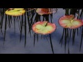 開田高原水生植物園