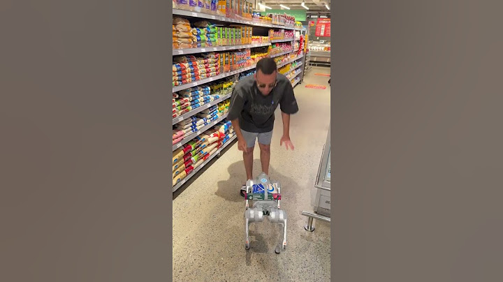Walking down the street with my 40 thousand reais robot dog