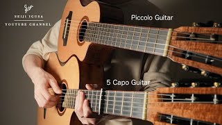 Which Sounds Better? Piccolo vs 5 Capo Guitar Comparison