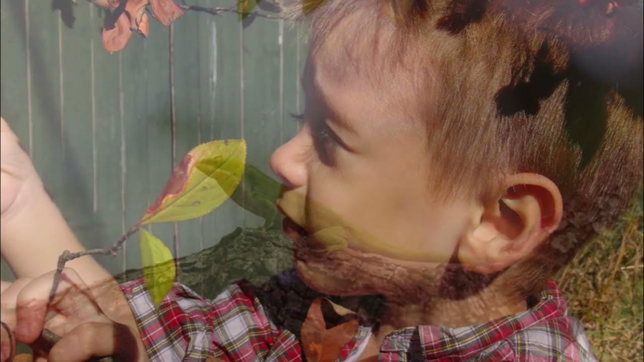 Lookin' Out My Backdoor - Creedence Clearwater Revival: with Lyrics(가사 번역) Lookin' Out My Backdoor - Creedence Clearwater Revival: with Lyrics(가사 번역)