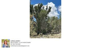 32727 W Bucks Rd, Seligman, Az