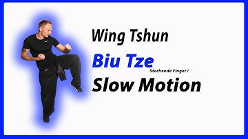 Biu Tze Form in Slow motion [#wingchun  - #wingtsun ]  #詠春 #wingtsunkungfu #詠春拳