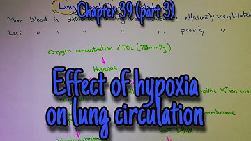 Effect of hypoxia on lung circulation. Chapter 39 (part 3). Guyton and hall text book of physiology.