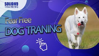 How to help a fearful dog gain confidence: SolidK9Training