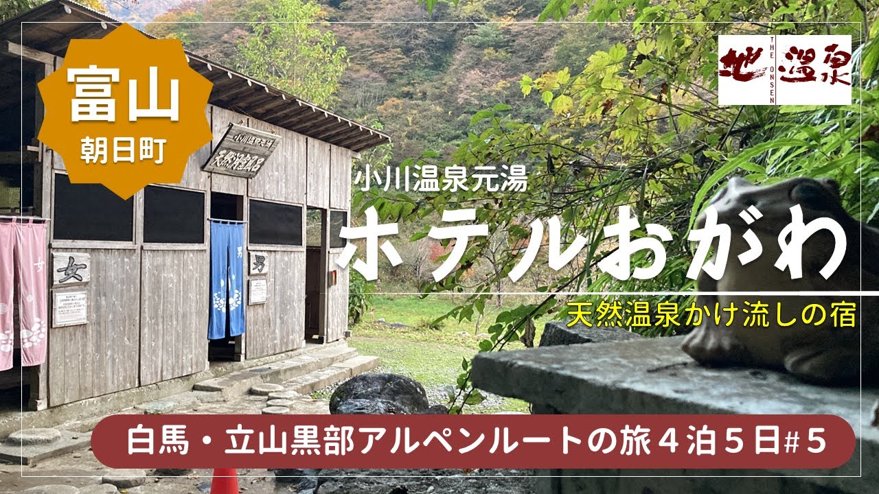 【白馬・立山黒部アルペンルートの旅#5】富山の秘湯！源泉かけ流しの宿「ホテルおがわ」で一泊！食事もお風呂も素晴らしい★富山を大満喫