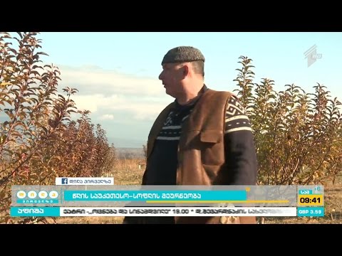 წლის ყველაზე მნიშვნელოვანი მოვლენა სოფლის მეურნეობაში