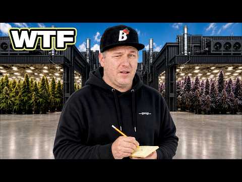 I Investigated a $60,000,000 WEED Factory