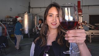 IDOL JAPONESA EN MÉXICO: TOMÉ EL ÚNICO VINO COLOR BUGAMBILIA