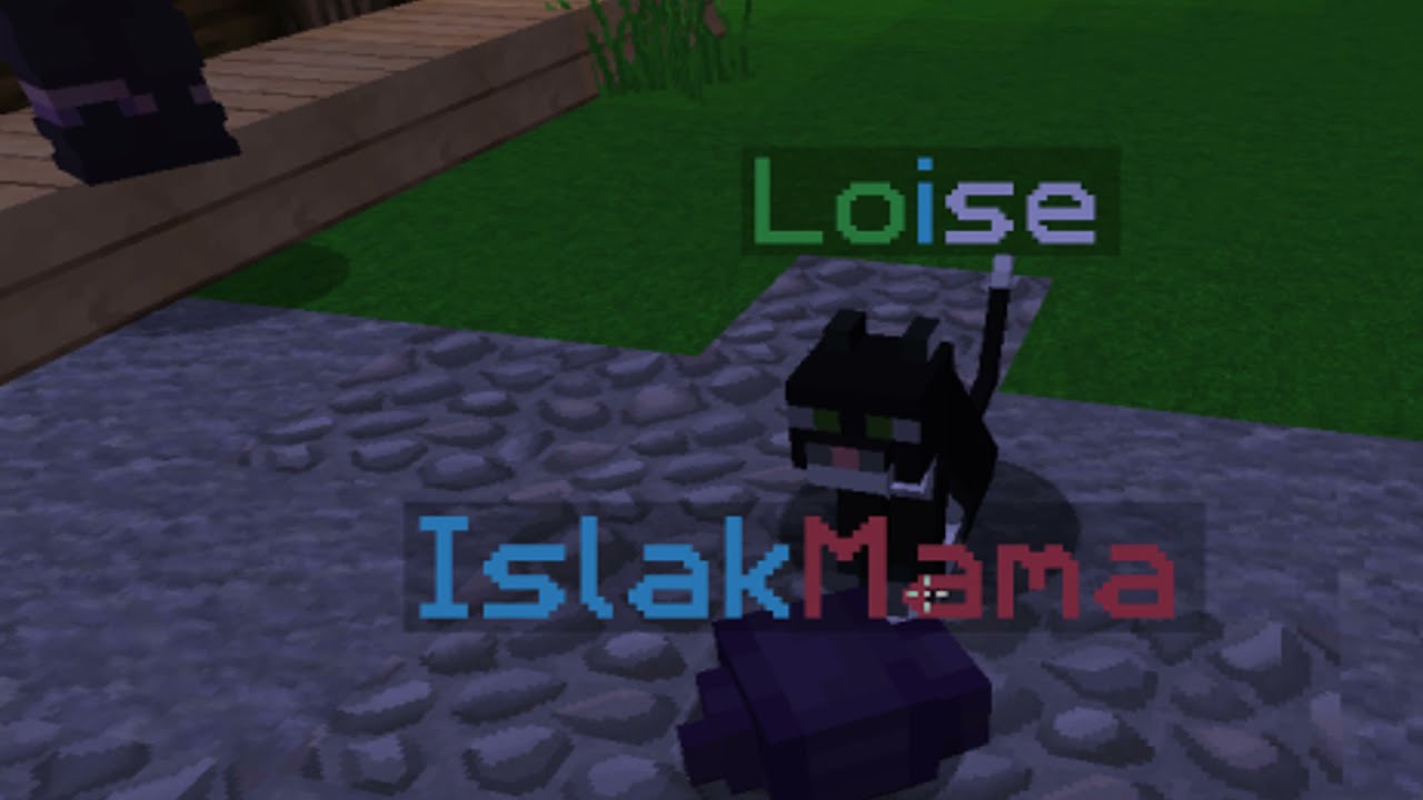 REVENGE VS lda,rsm,lrs (THE PİT SONOYUNCU)