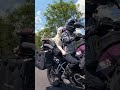 This is what thriving looks like! #motodog #bikerdog #sherides