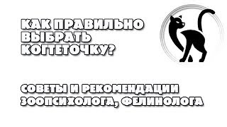 Как правильно выбрать когтеточку для кошки? Советы по выбору когтеточки Как правильно выбрать когтеточку для кошки? Советы по выбору когтеточки