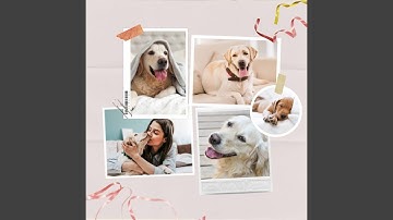 Pulsating Backdrops for Chilled Out Pups