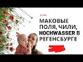 МАКОВЫЕ ПОЛЯ, ЧИЛИ И HOCHWASSER В РЕГЕНСБУРГЕ