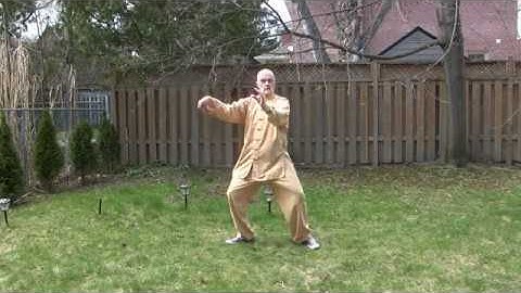 Learn Wu Style Tai Chi #8 - Single Whip